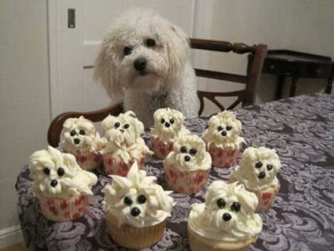 cupcakes-look-like-dog.jpg